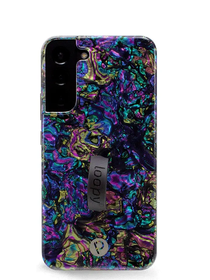 Abalone - Image 30