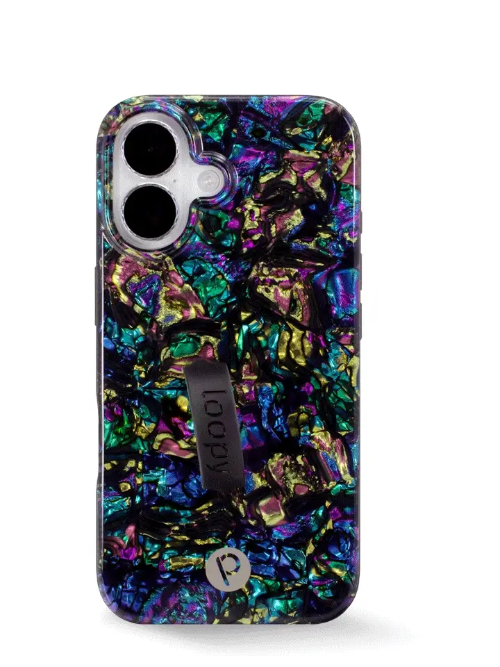 Abalone - Image 45
